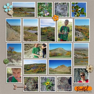 MOC8 Day 16: Avonlea Dirt Hills p2