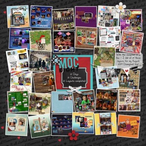 MOC 8 Collage
