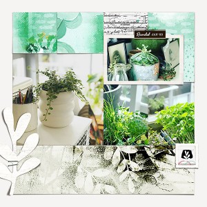Plants