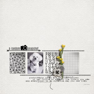 A Random Snapshot