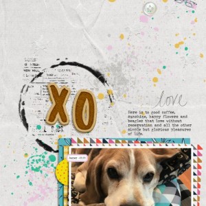 2020_balance_february_XO
