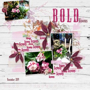2019-African-Violet-Ch-Template-Feb