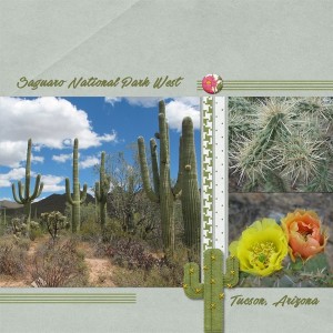 Saguaro
