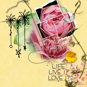 NBK - Simple_lifeliveitloveit