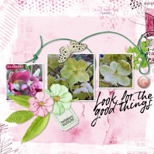 200304_hellebore