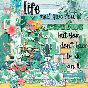 Life may give you a cactus