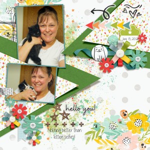20120615 Kitten Selfies!