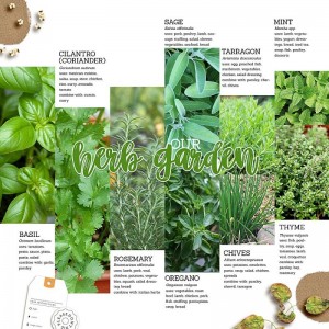 2020.03.14-our-herb-garden