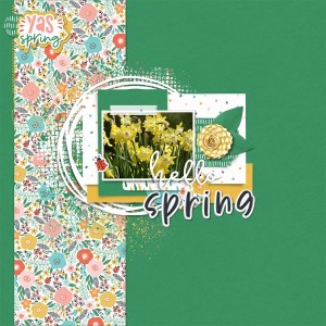 Hello Spring - Daffodils