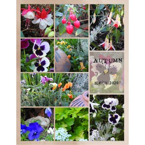 AUTUMN IN THE GARDEN-RIGHT HAND SIDE