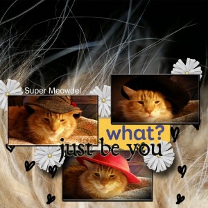 Butch Cassidy Super Meowdel