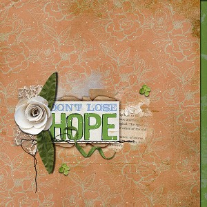 Don't Lose Hope