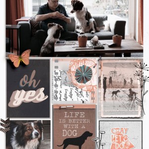 Life with Dogs