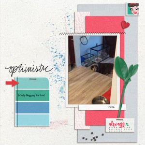 03-prd