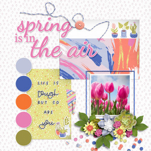 Spring Is In The Air