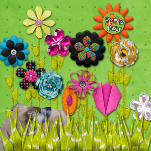 KJensen_flowerpower
