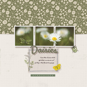 Daisies