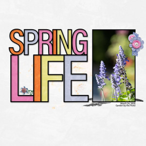 Spring Life