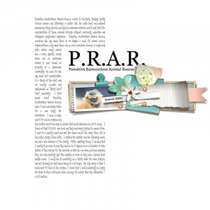 2020.03.02-PRAR