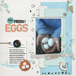 100% Fresh Eggs