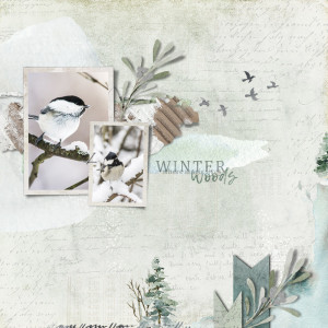 Boreal Tit
