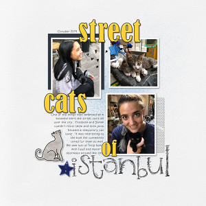 street cats