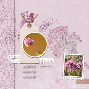 200326_lilac