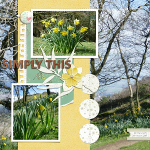 Daffodills