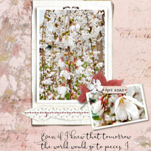 Lynn Grieveson Challenge_04-20_Recipe_AppleBlossomCard