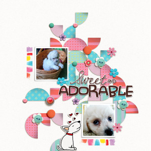Sweet & Adorable