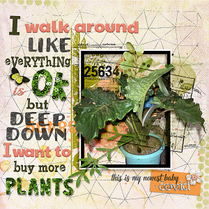 05012020-more-plants-copy