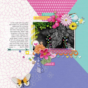 Pink-Reptile-Designs_2020-04_April_SOSN_0429_Spring-Flutters_rev_web