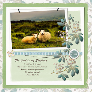 My-Shepherd_web