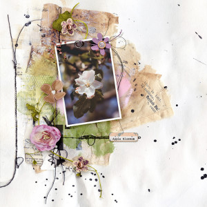 Apple blossom