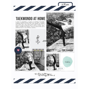 Taekwondo at home