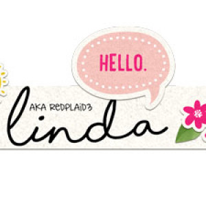 new siggie