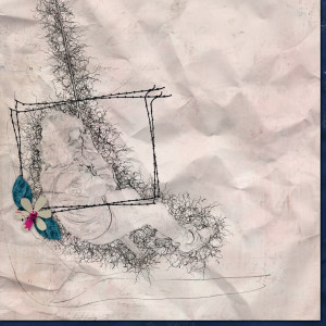 Rope Swing