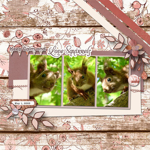 Love Squirrels