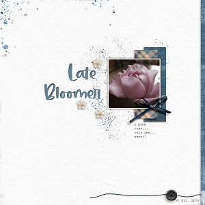 Late Bloomer (Speed Scrap Tues 5/12 @ 2pm)