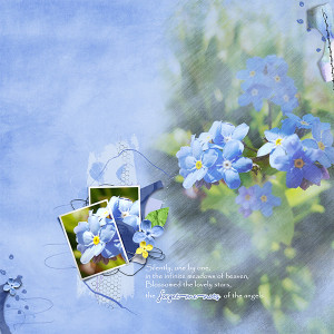 Forget-me-not