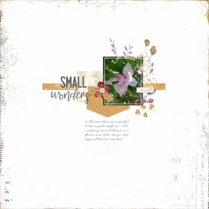 Small Wonders