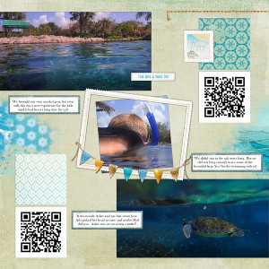 Swimming with Sea Turtles