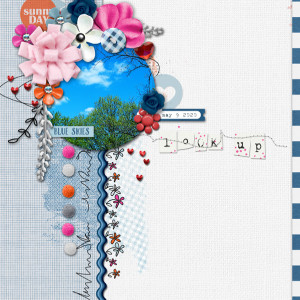 Pink-Reptile-Designs_2020-05_May_SOSN_0520_Blue-Skies_web