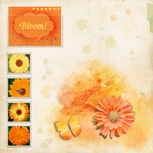 Bloom!