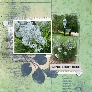 May27_Mellow_BotanicalBrushes_flowersgal_web