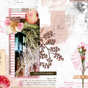 Lynn-Grieveson_2020-05_May_New_0529_Botanical-Mix_web