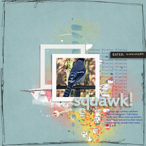 LynnG_May 2020 Challenge: BlueJay