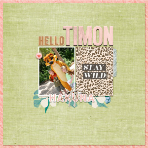 Hello Timon