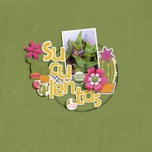 Suculentas. SL