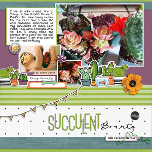 Succulent Bounty